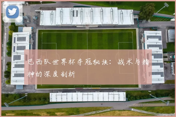 巴西队世界杯夺冠秘诀:战术与精神的深度剖析