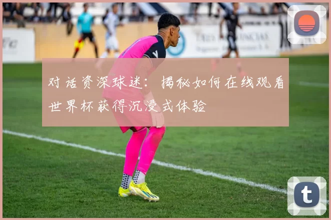 对话资深球迷：揭秘如何在线观看世界杯获得沉浸式体验