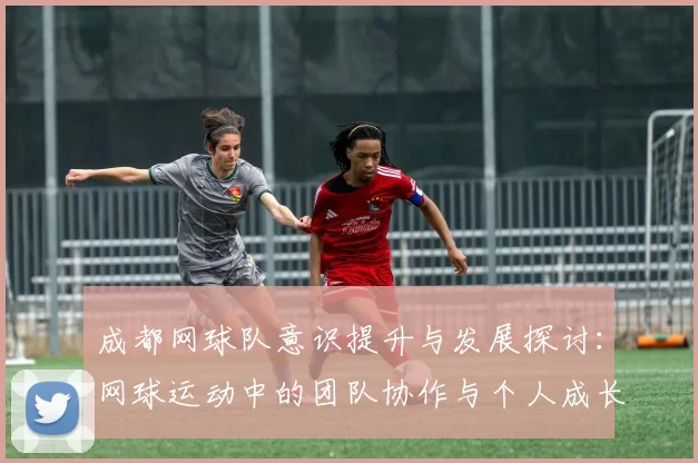 成都网球队意识提升与发展探讨：网球运动中的团队协作与个人成长分析