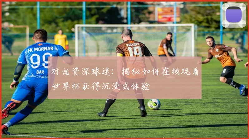 对话资深球迷：揭秘如何在线观看世界杯获得沉浸式体验