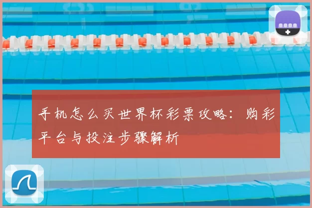 手机怎么买世界杯彩票攻略：购彩平台与投注步骤解析