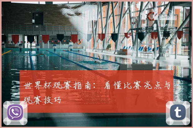 世界杯观赛指南:看懂比赛亮点与观赛技巧