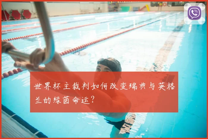 世界杯主裁判如何改变瑞典与英格兰的绿茵命运?