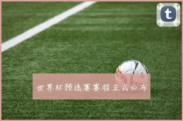 世界杯预选赛赛程正式公布