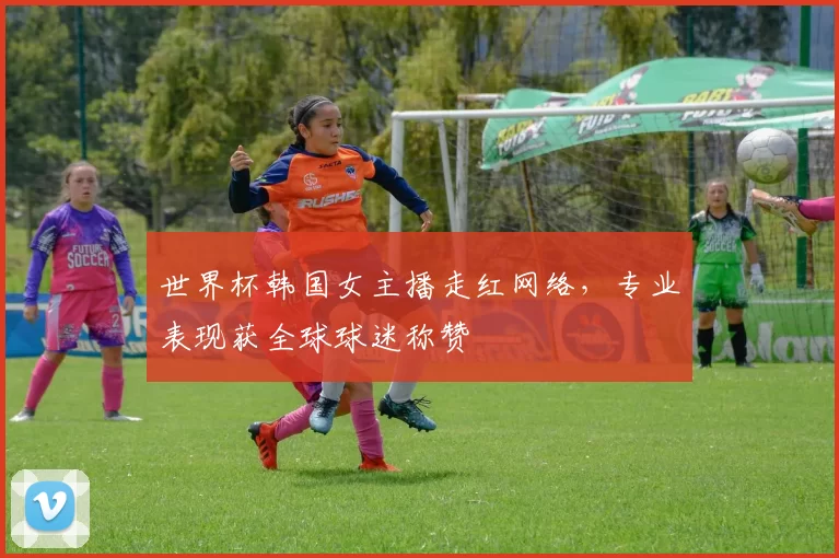 世界杯韩国女主播走红网络，专业表现获全球球迷称赞